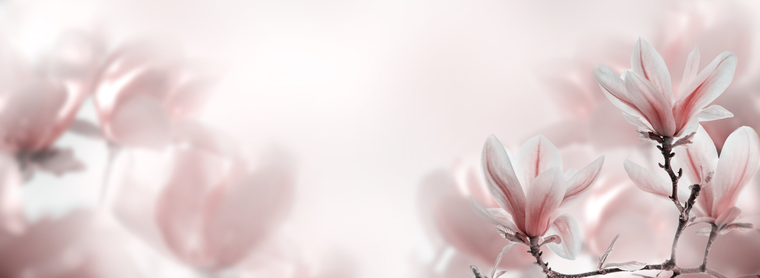 EASTER 2020 Banner AdobeStock_321446866.jpeg