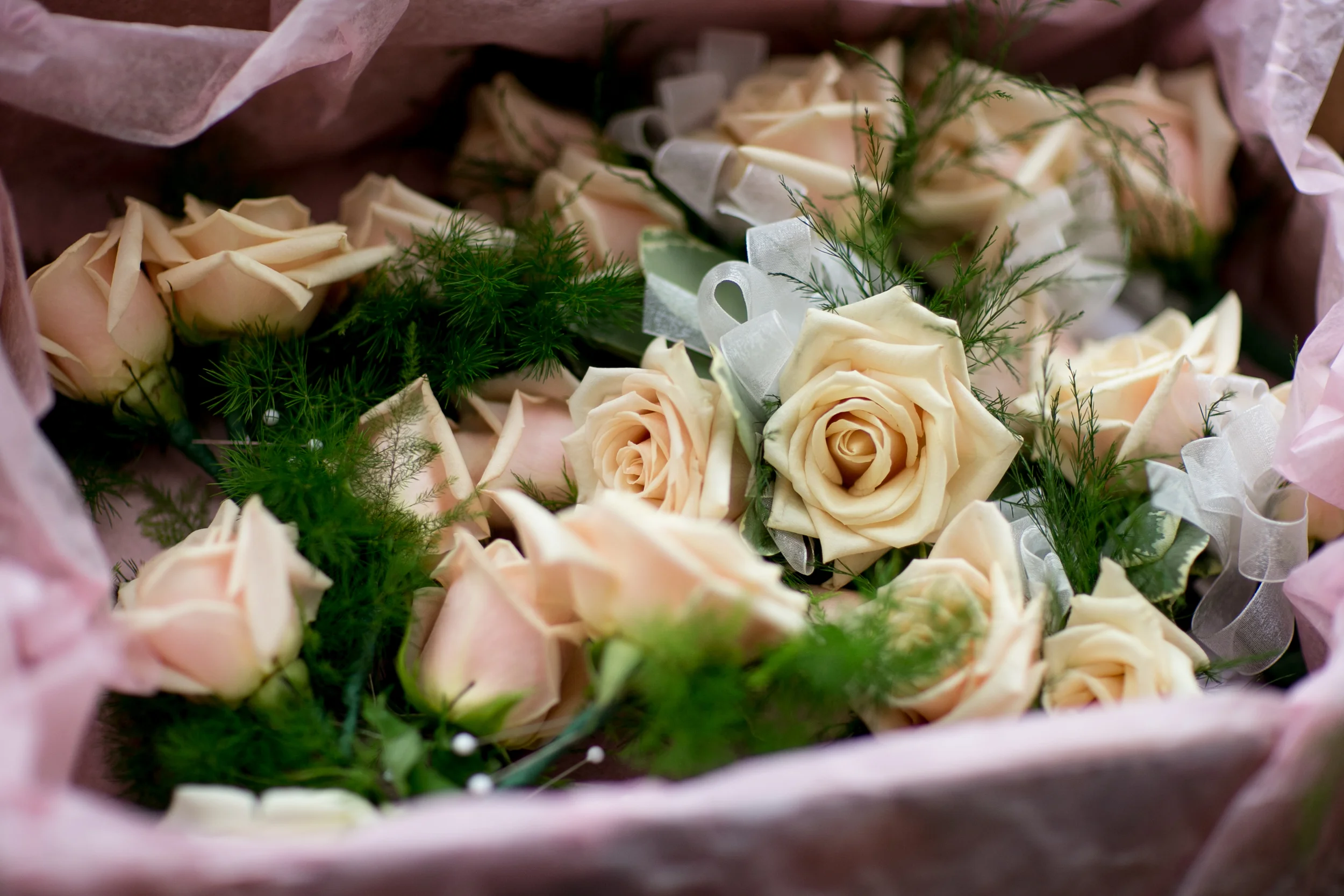 20140323-0222-050.jpg