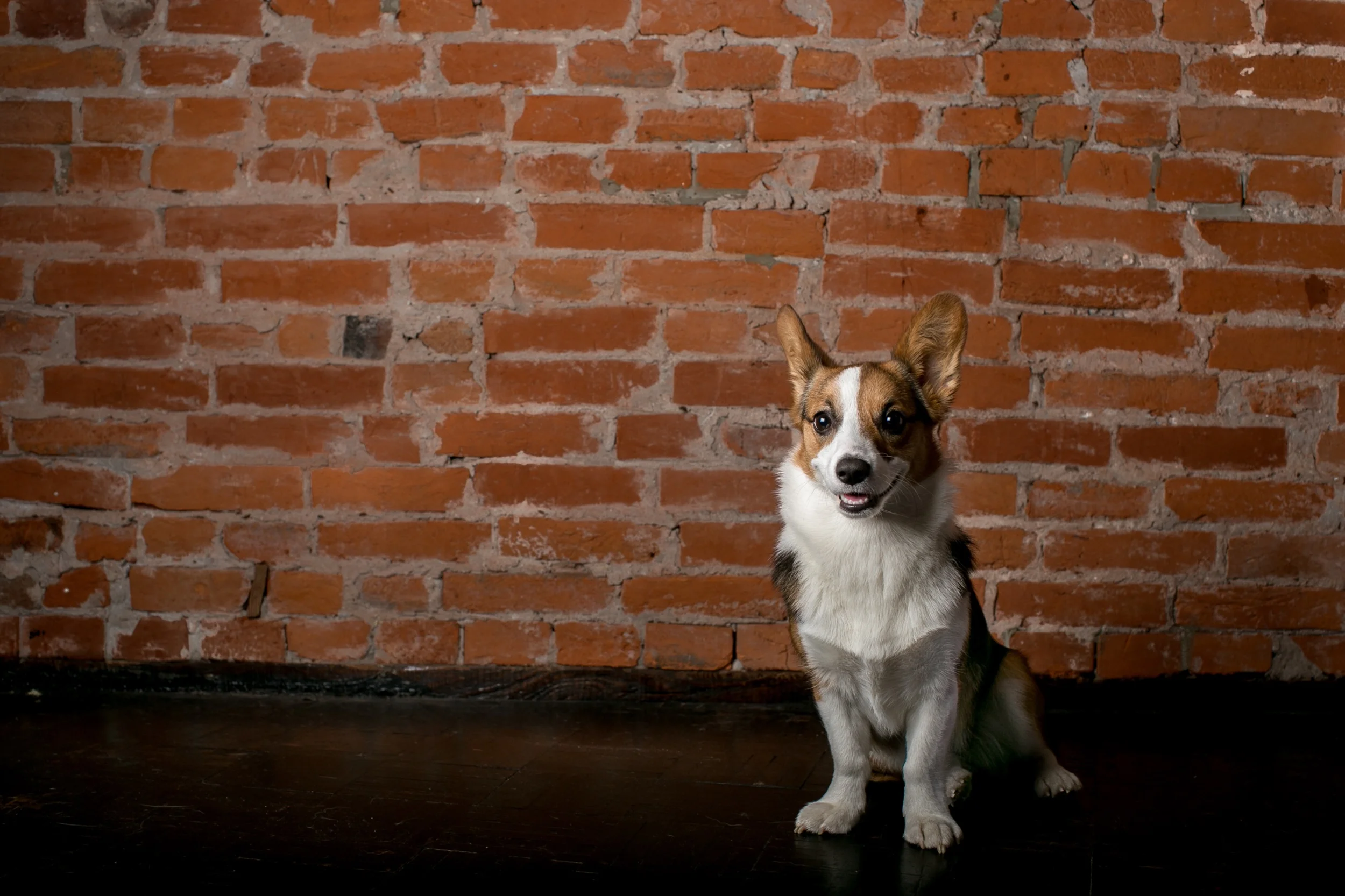 mallory 1 year-001.jpeg