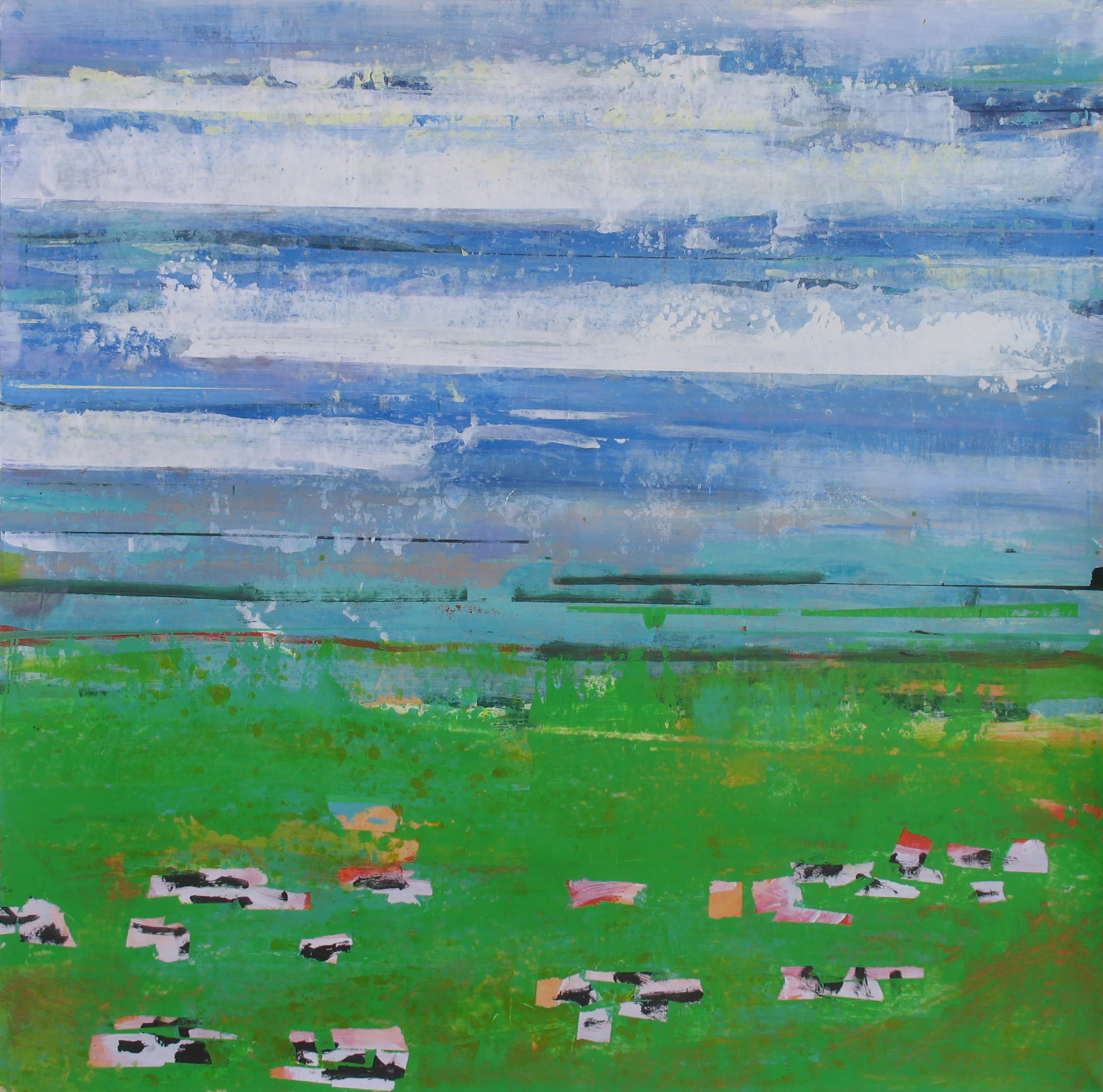 Skies and Cows
