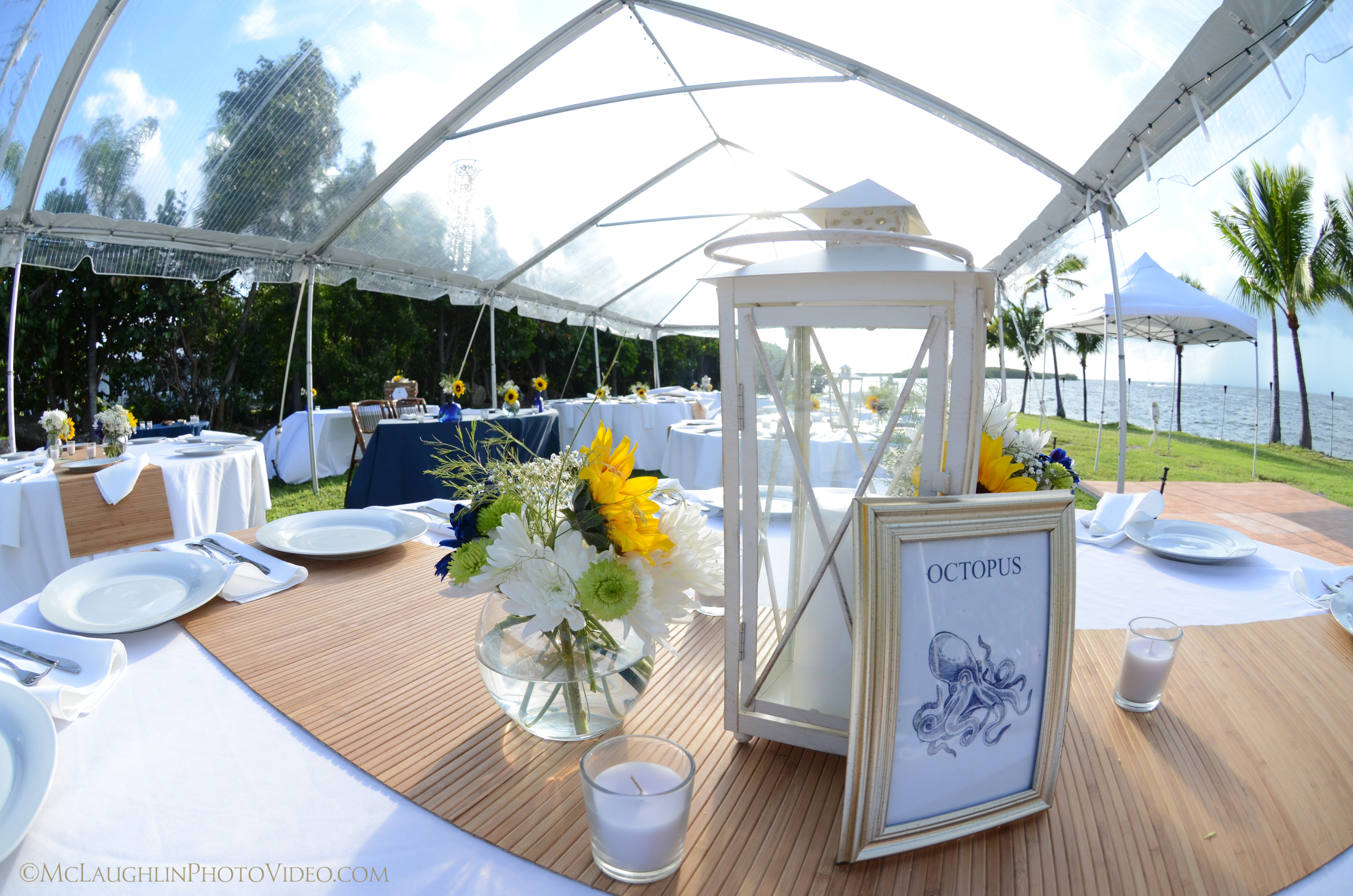 Tent, Tables, Linens, Plateware, Runners