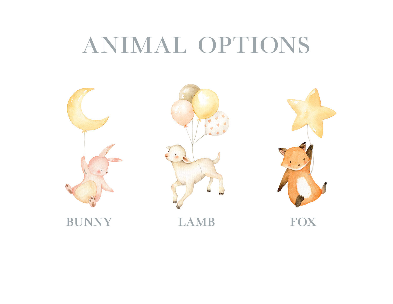 Animal Options.jpg