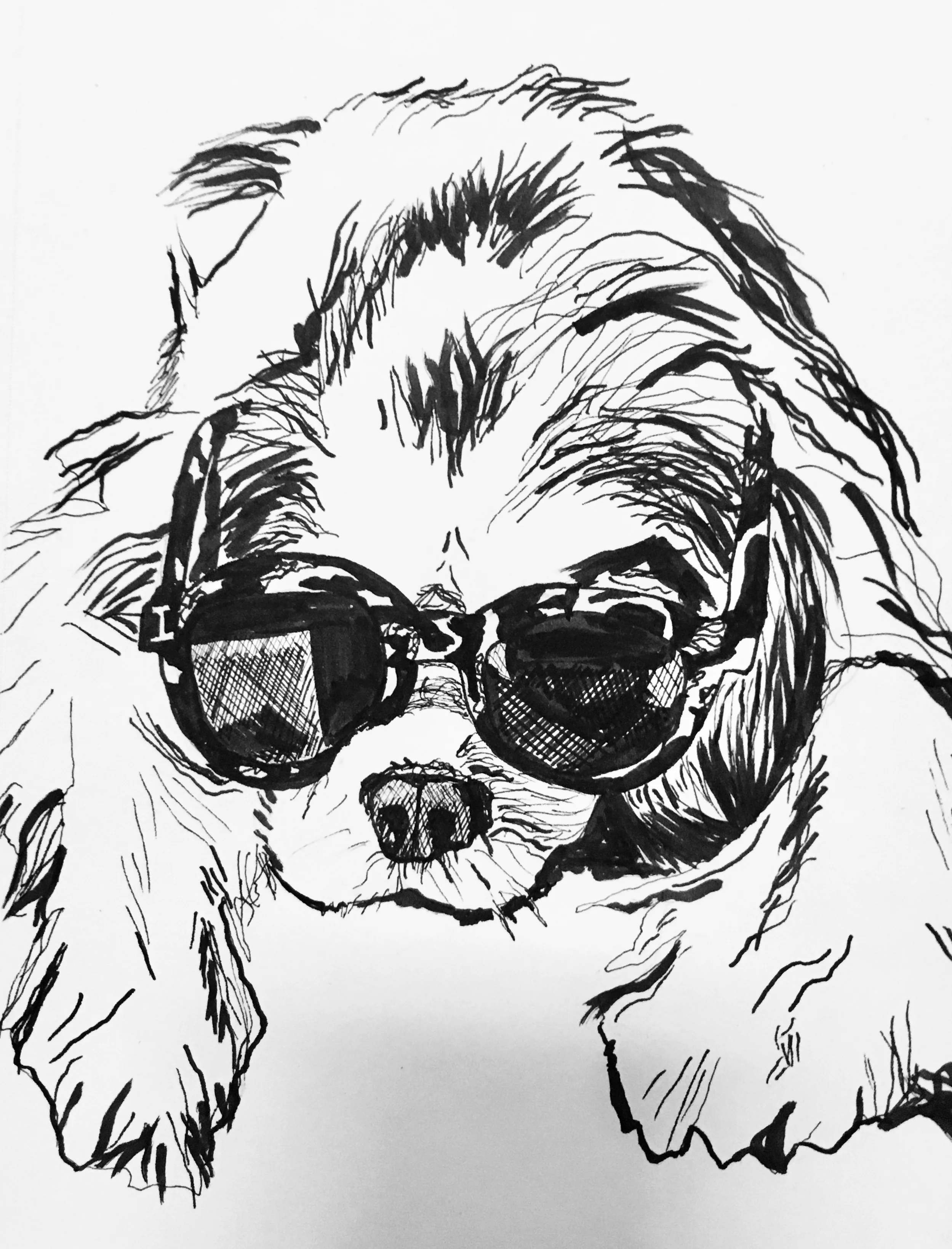 KingCharles.jpg