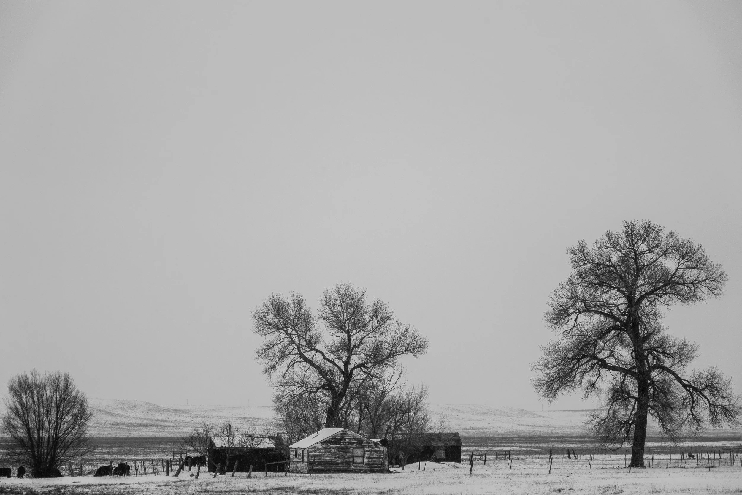 DSC04579-2.jpg