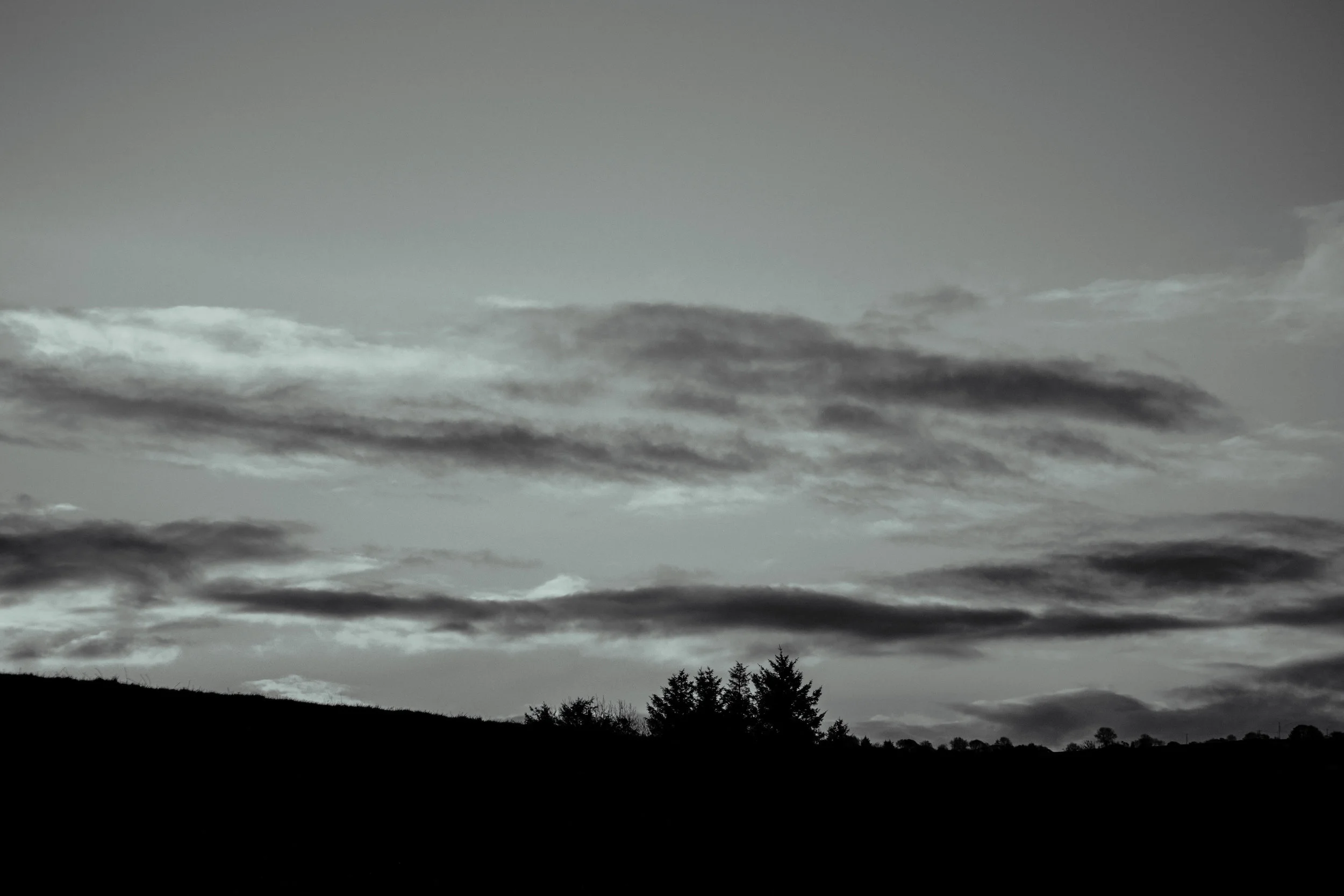 DSC02493.jpg