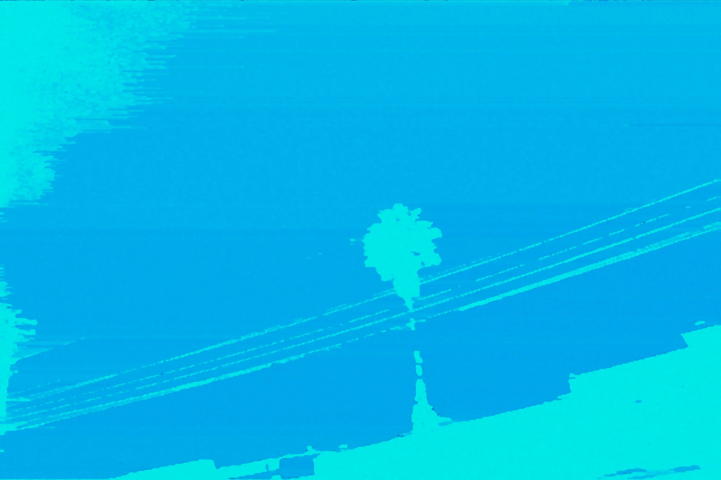 DSC08167_5.jpg