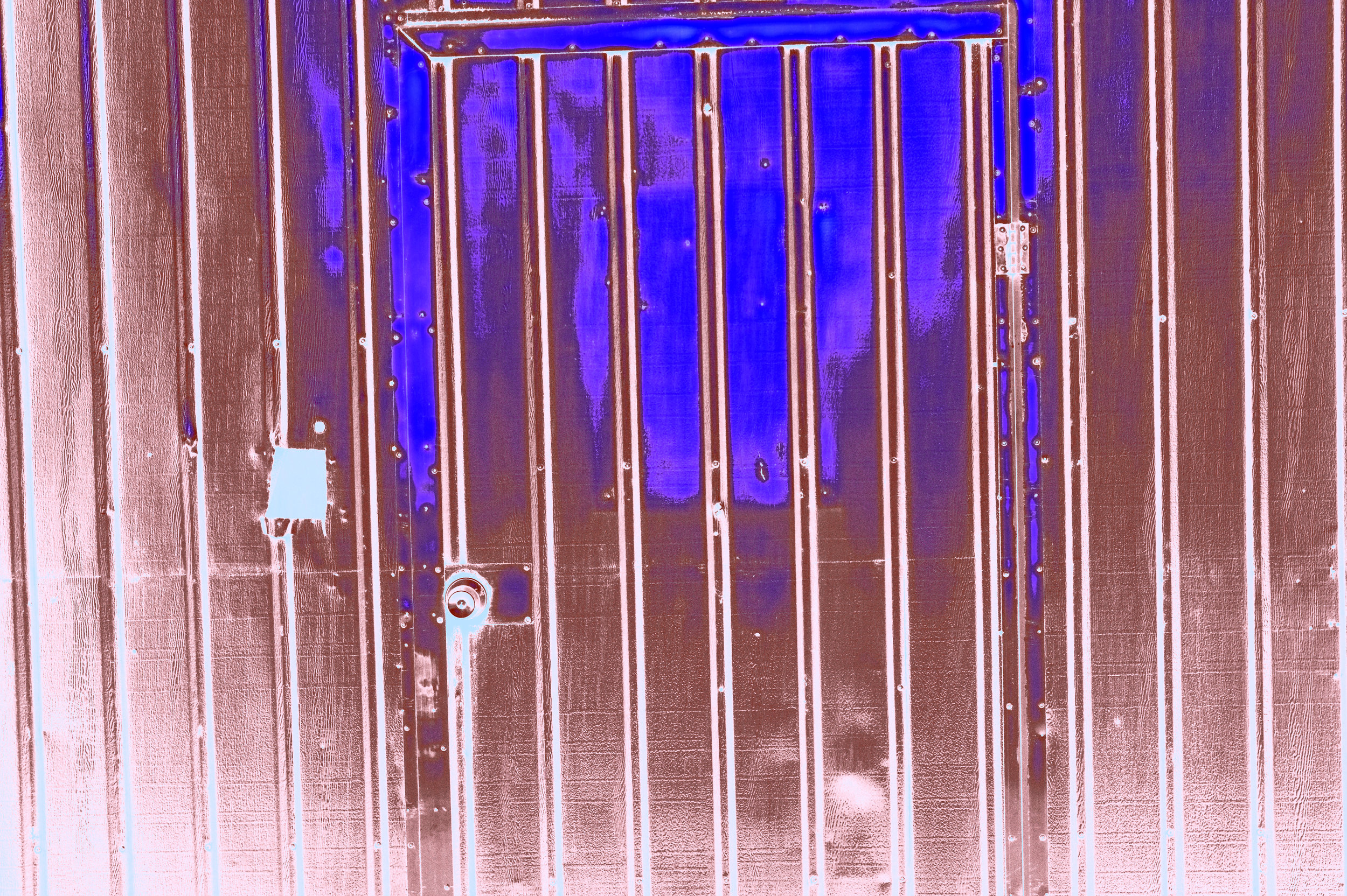 DSC08893c.jpg