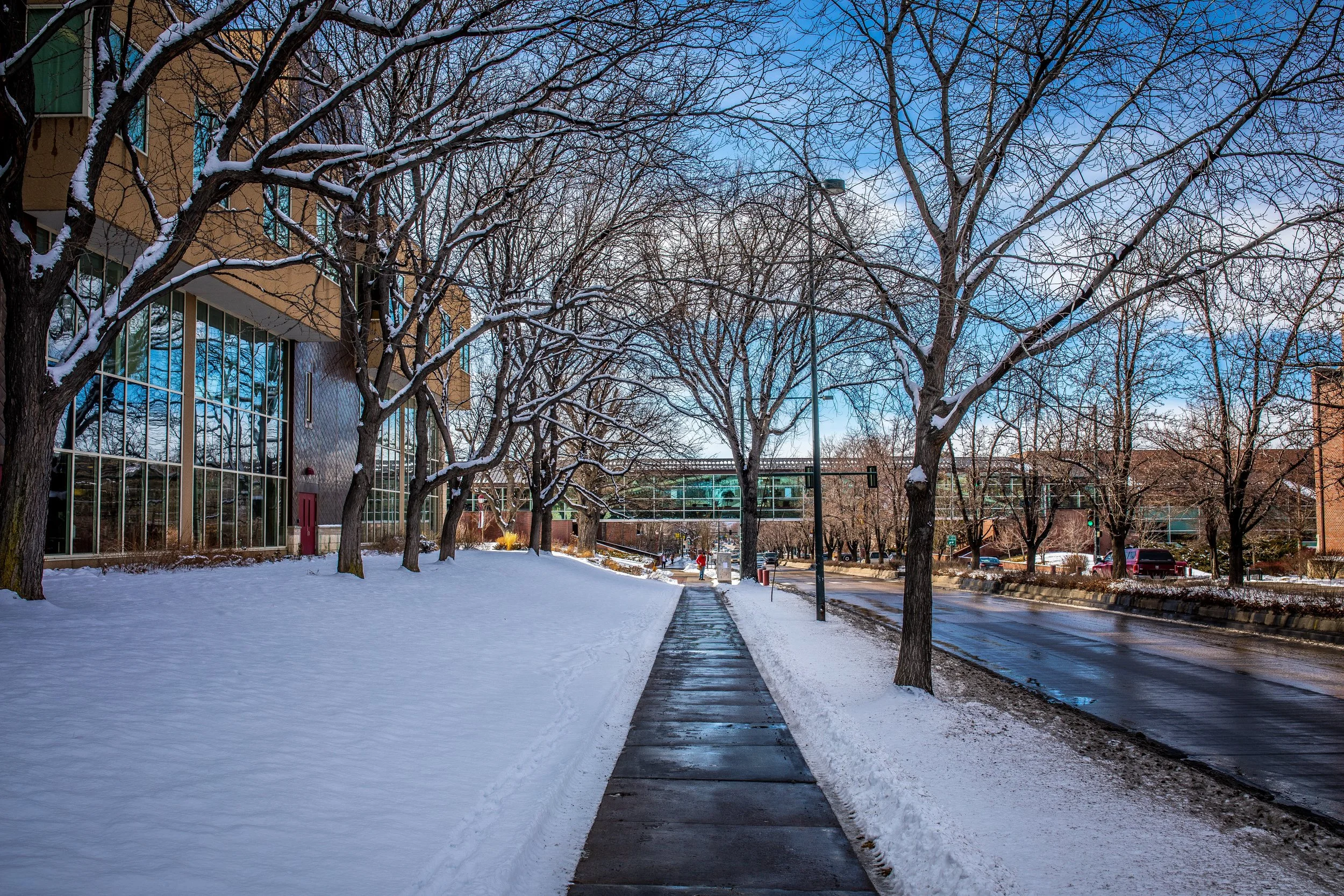 524A0111-2A.jpg
