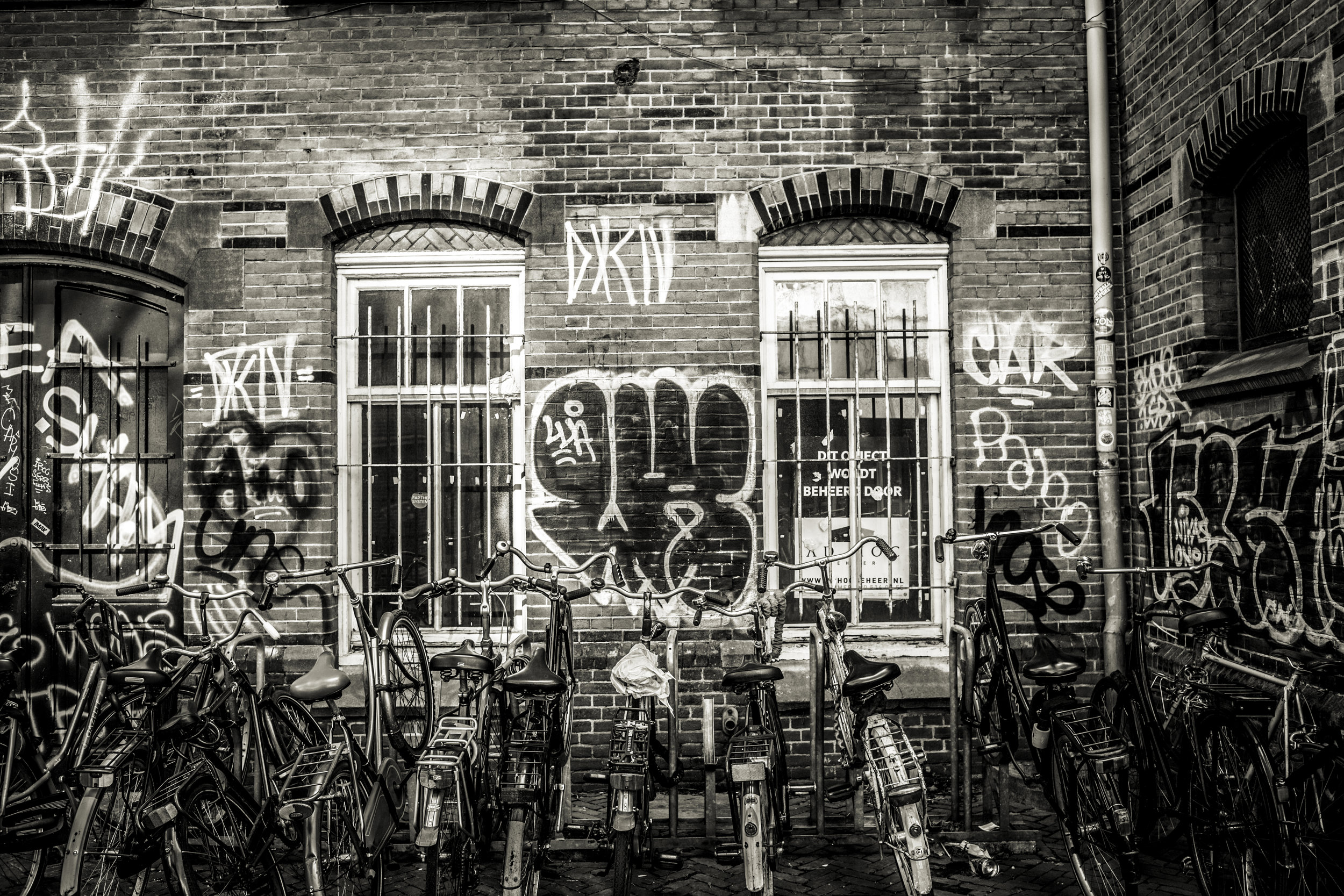 080A8799-2.jpg