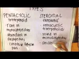 Why Clean Grains Seeds and Pulses?