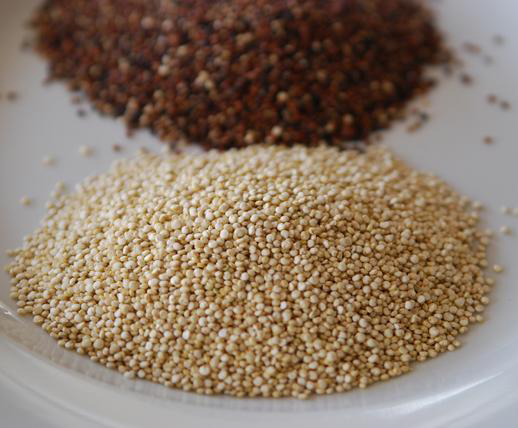 uncooked-quinoa8.jpg