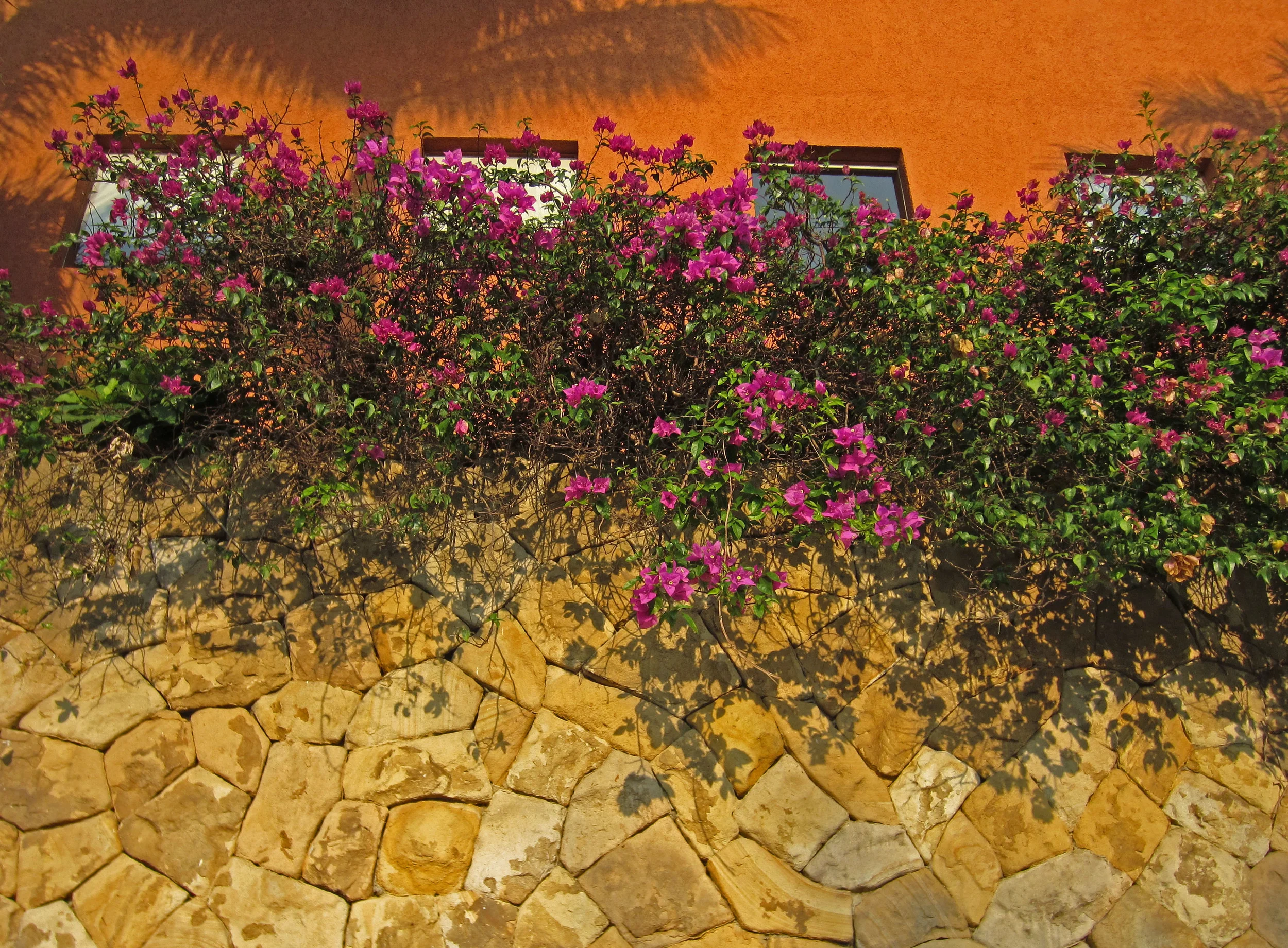 flowerwall.jpg