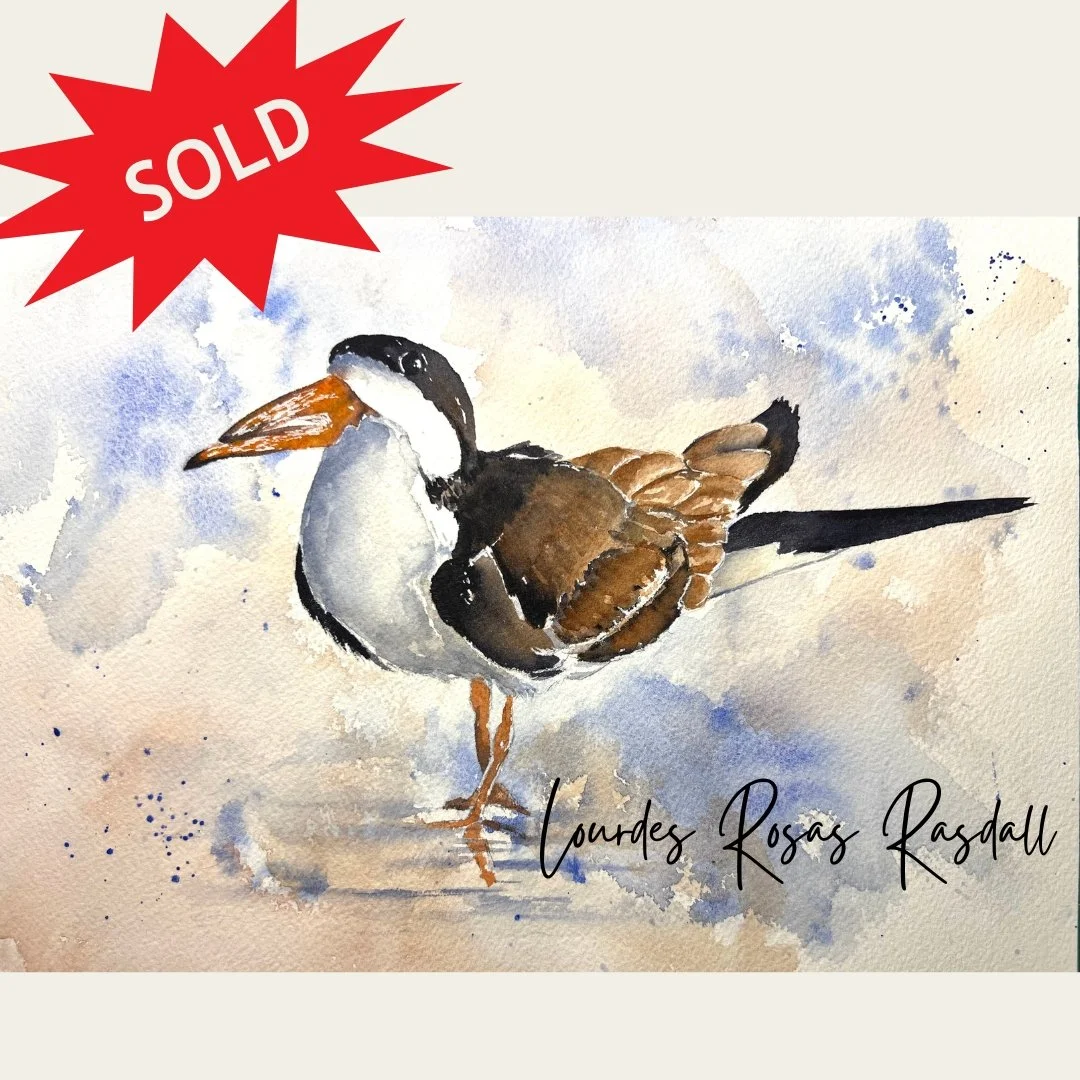 I am happy to share that my watercolor, "Black Simmer", sold during the Wildlife Artists of the Carolinas "Seasons Tweetings" exhibition in Sunset River Gallery , Calabash, NC. 
Thank you to WAOTC &amp; Sunset River Gallery for th