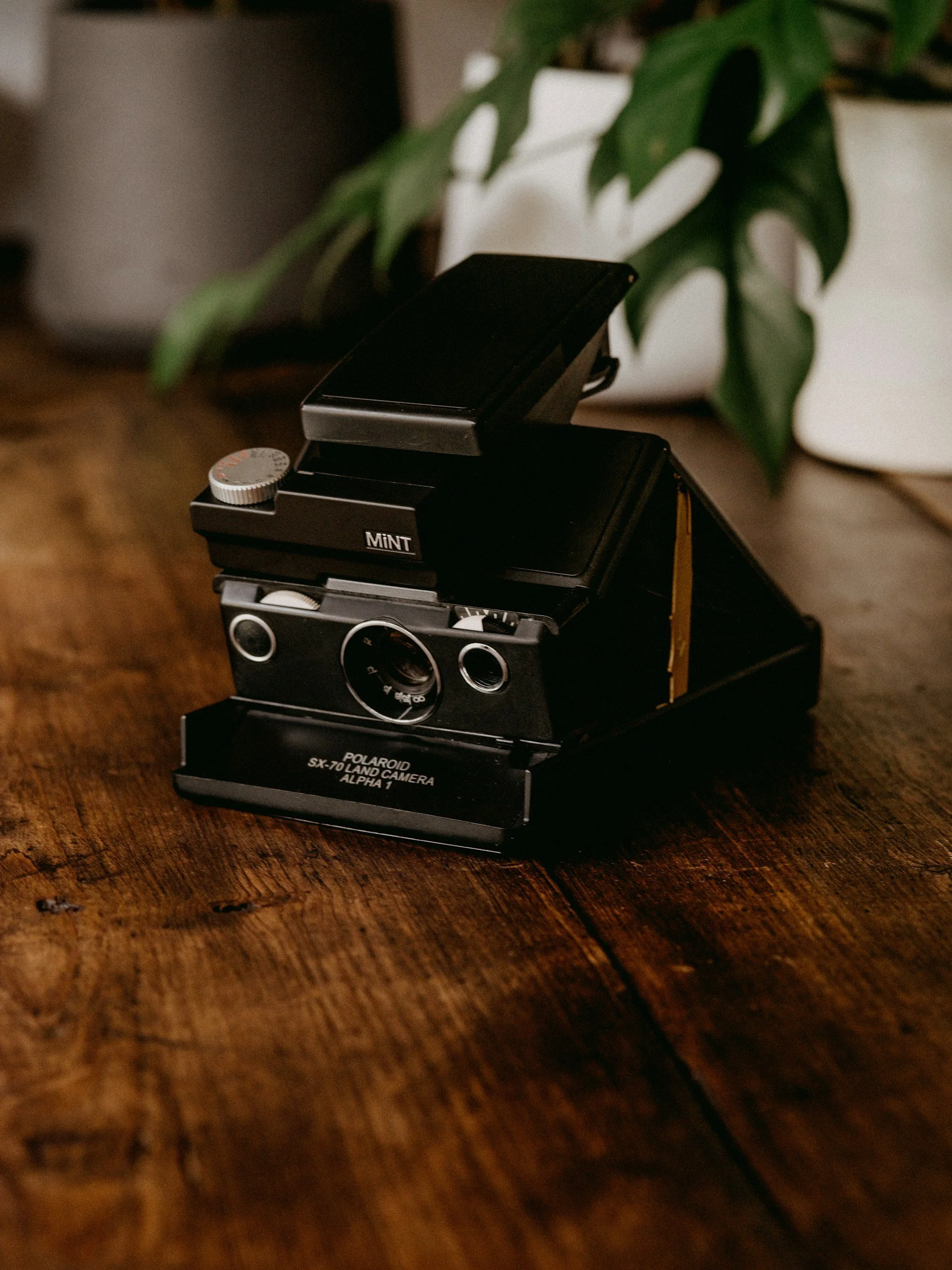 unsplash-image-uEQ9Kd0ESAQ.jpg
