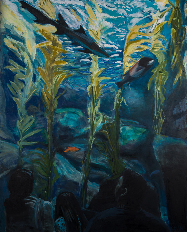 Shark's Garden