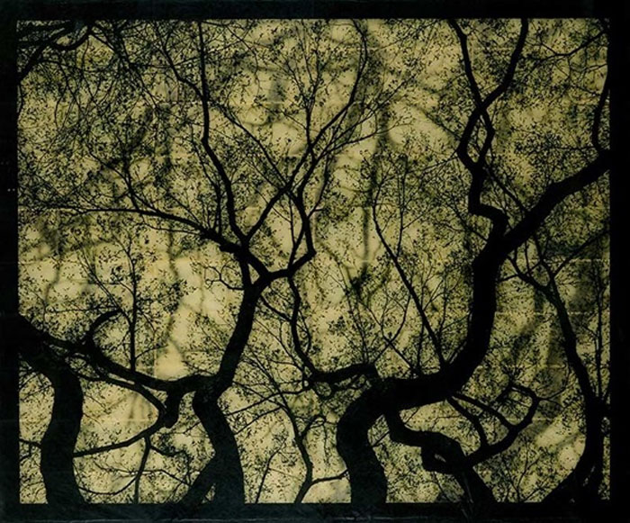 DOUG AND MIKE STARN Structure of Thought 19 , 2001-2007 Epson K3 Ultrachrome and MIS inkjet prints on cotton rag and gampi papers with varnish 60 x 72 inches Edition: 5