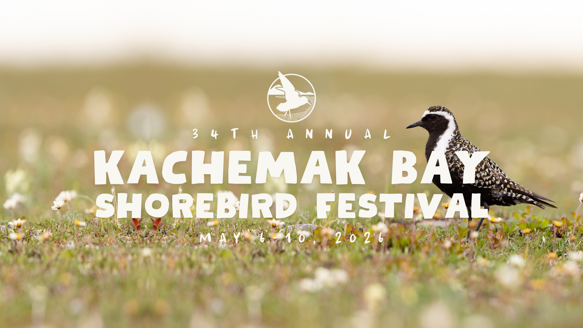Kachemak-Bay-Shorebird-Festival-Website-Headers-2025-and-2026-2.png