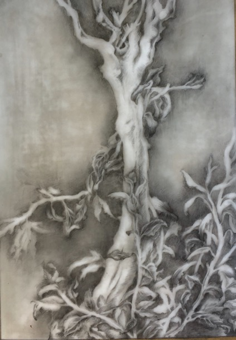 drawing_tree 2018.PNG