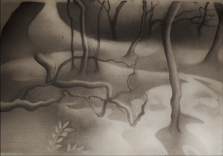 drawing_in the shade of the passing time.PNG