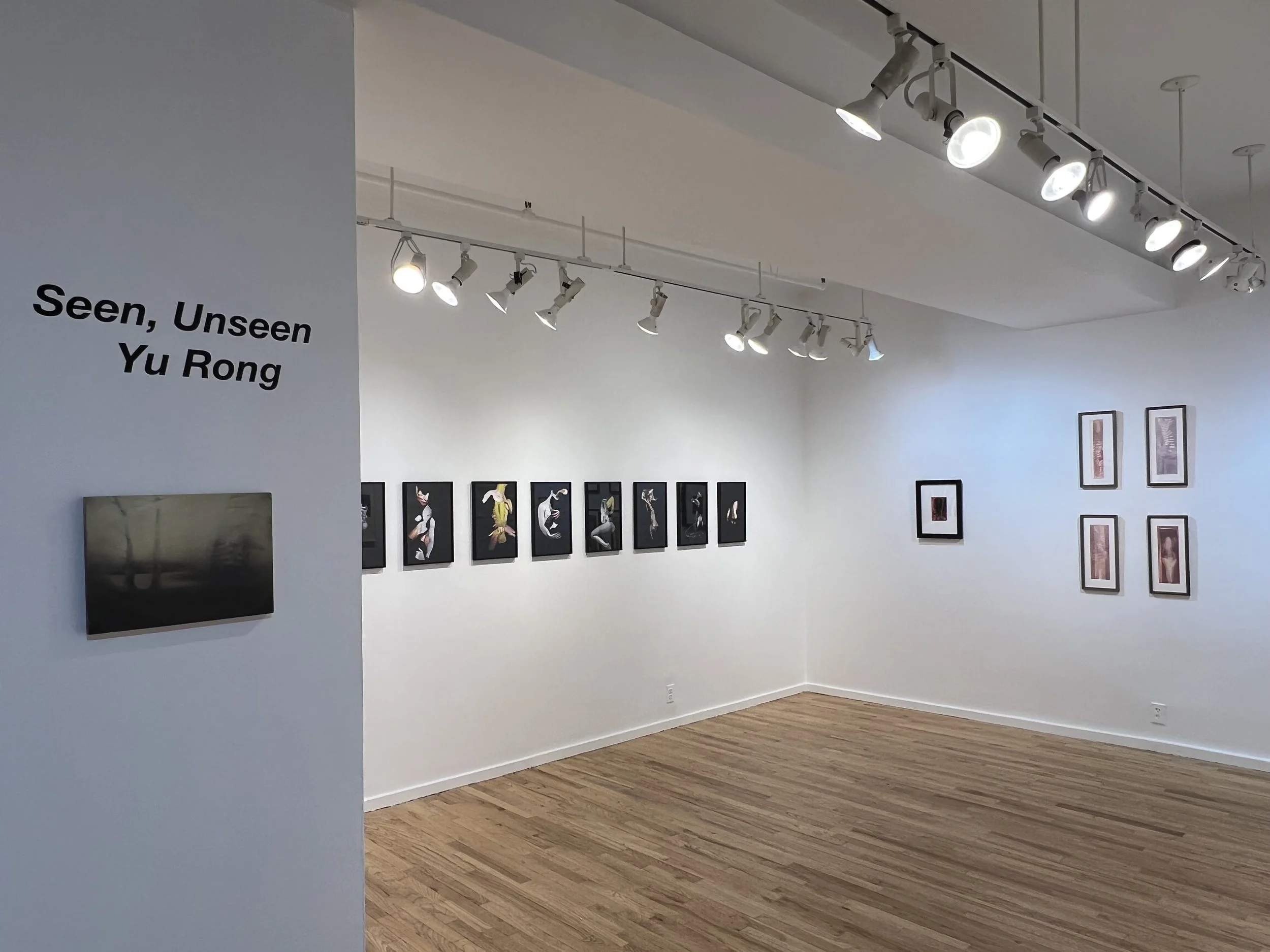 Art Exhibition_Yu.jpeg