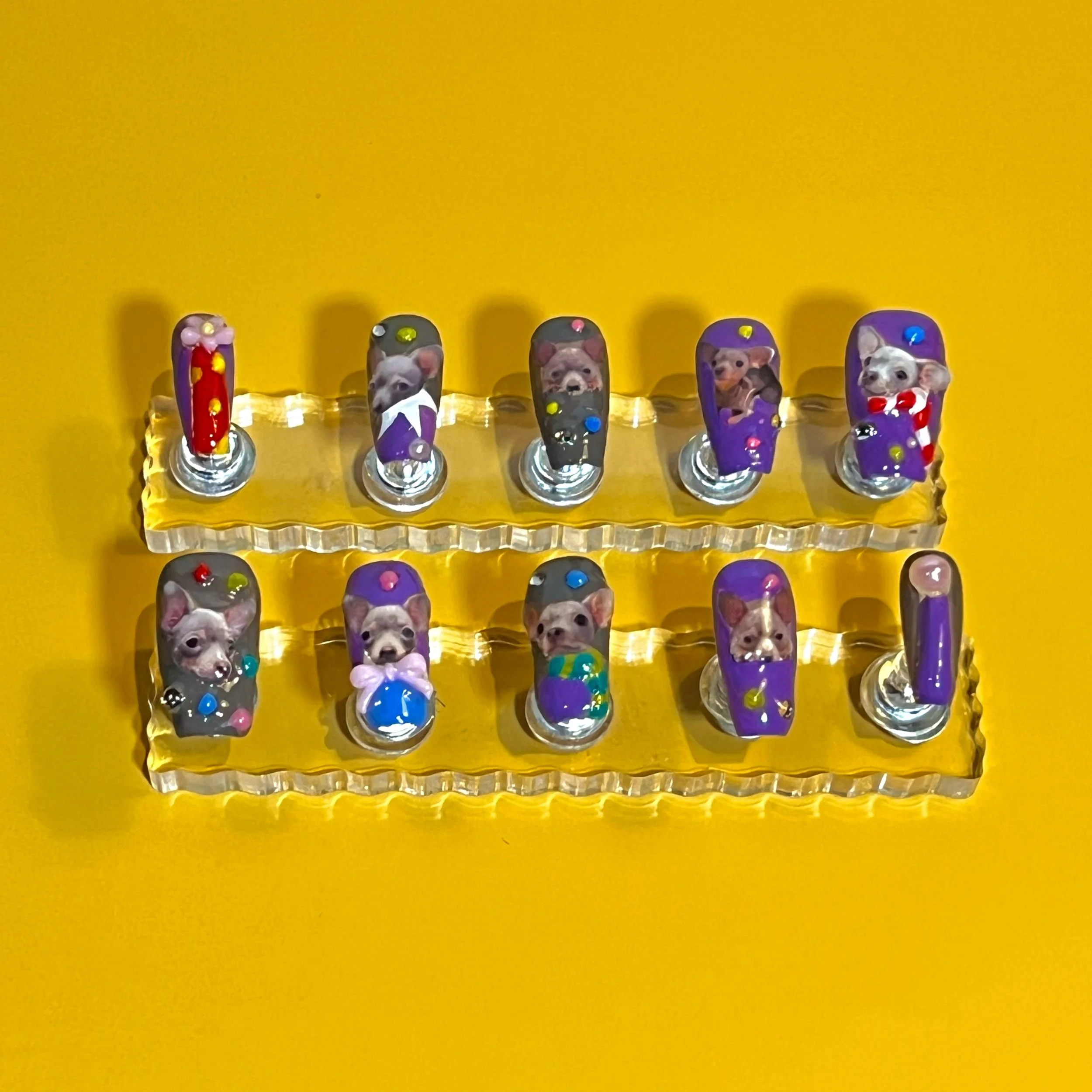 (NYC) DIY Pet Portrait Gel Nail Art Workshop 