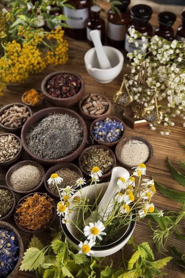Dried Flowers.jpg