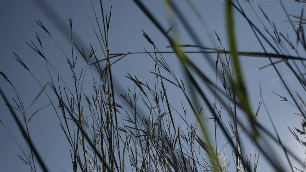 Prairie Plaza Proposal companion promo vid (Copy)