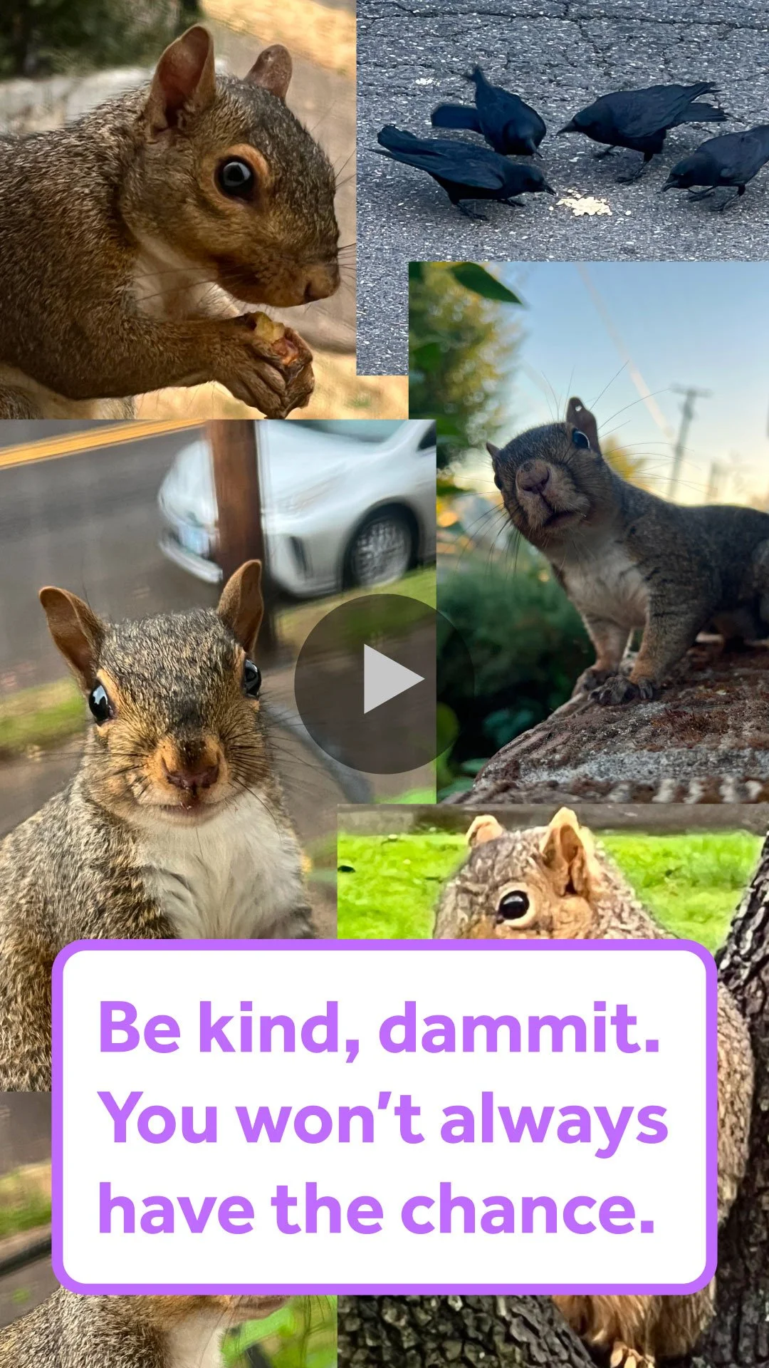 Social Media Thumbnail - 8d.jpg