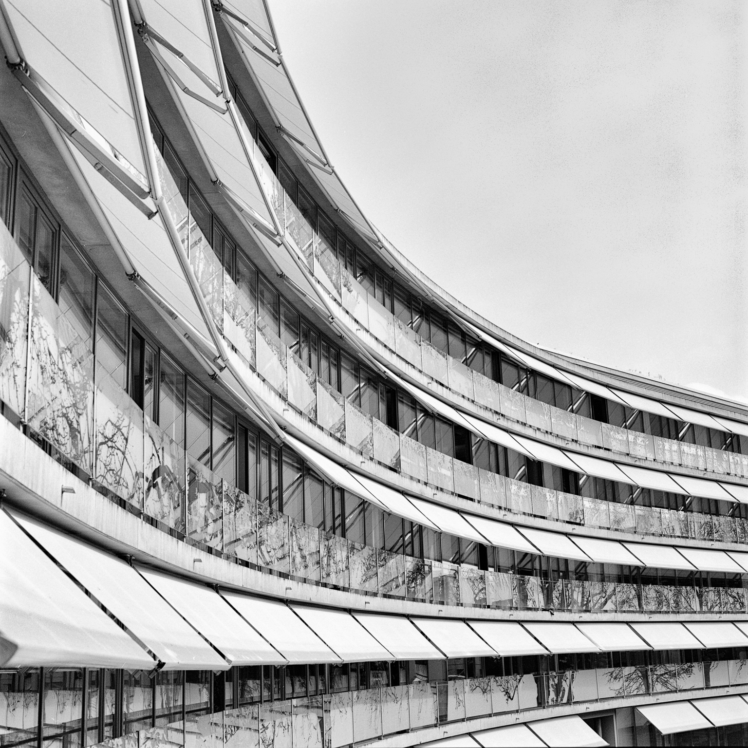 005-PF-scan-SWNeg-001-Bearbeitet.jpg