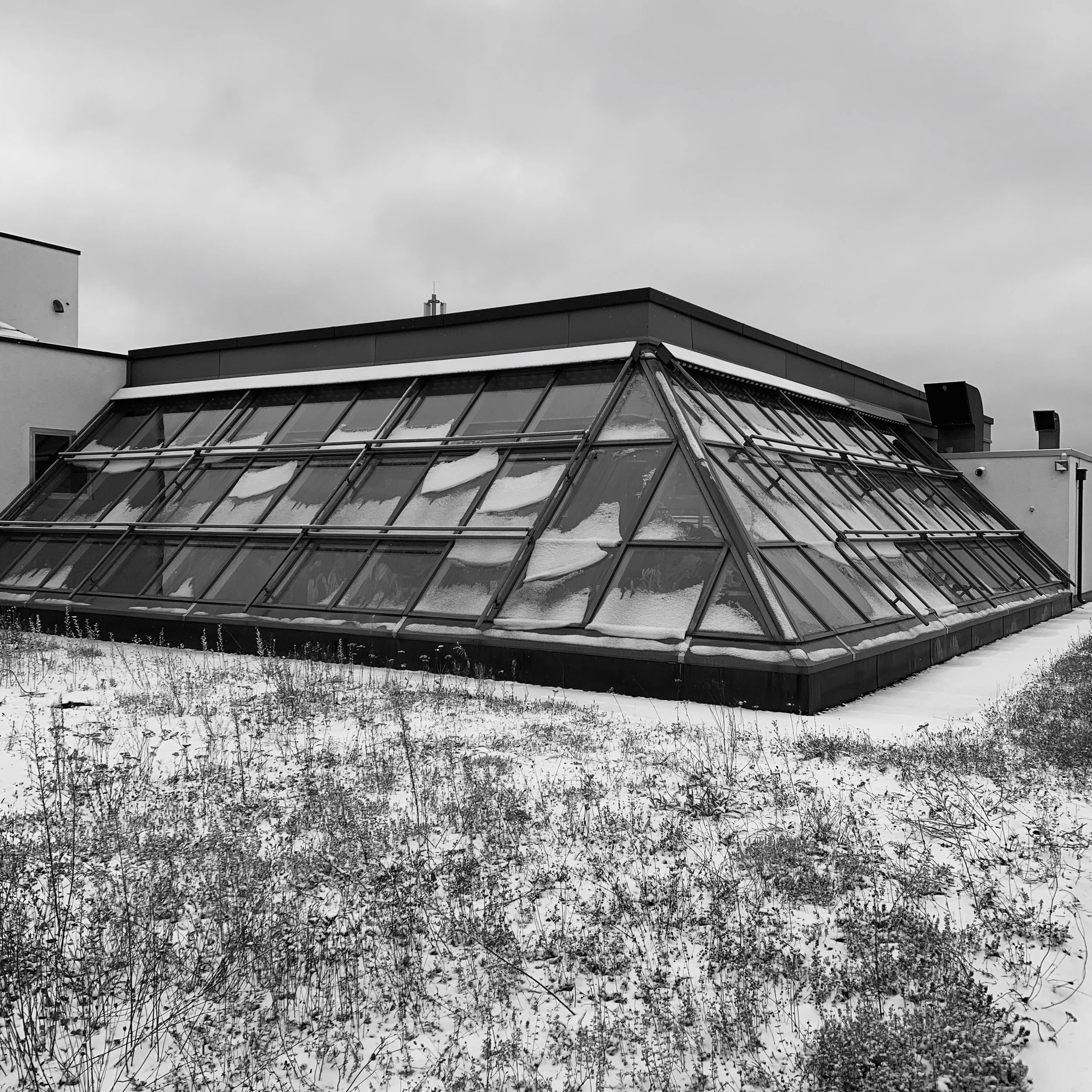 POTH-2018-11-19.jpeg