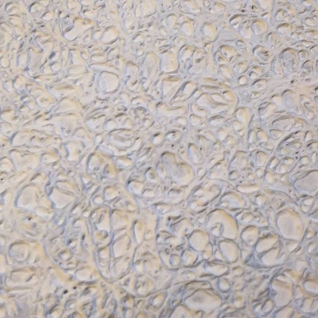 Texture experiment. .
.
#アート #art #design #芸術 #artist #paint #abstract #美術 #アーティスト #ハンドメイド #painting #contemporary #contemporaryart #modern #experiment #homemade #white #abstractart #creative #abstraction #artsy #stayabstract #abstracto #instagood #a