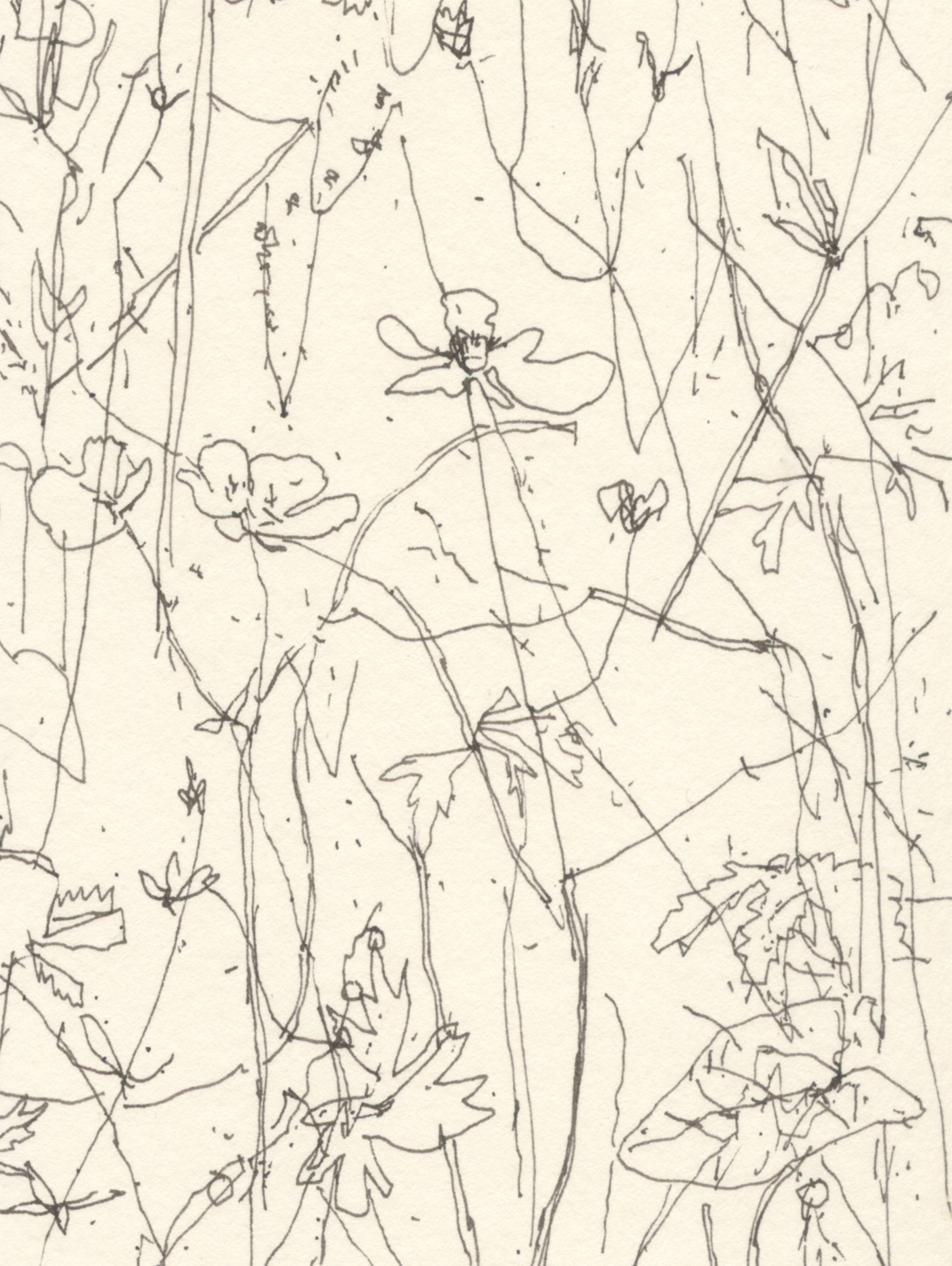 1Silverweed & Buttercups web D.jpg