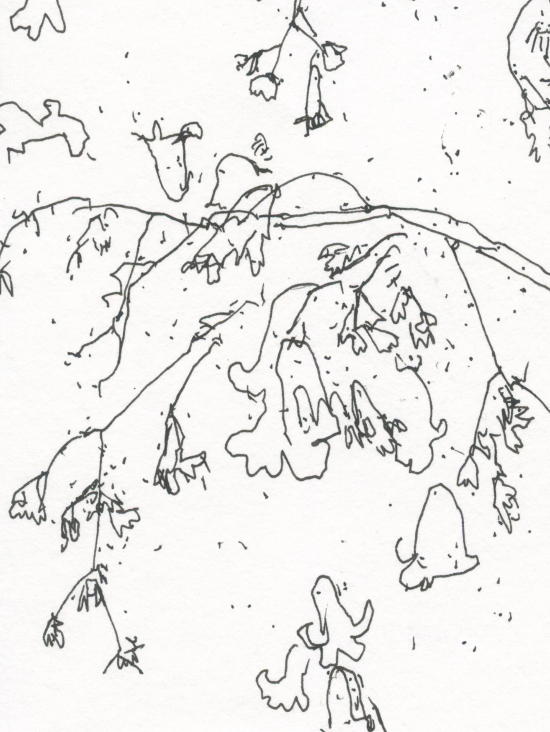 2Woodrush & Bluebells web D2.jpg