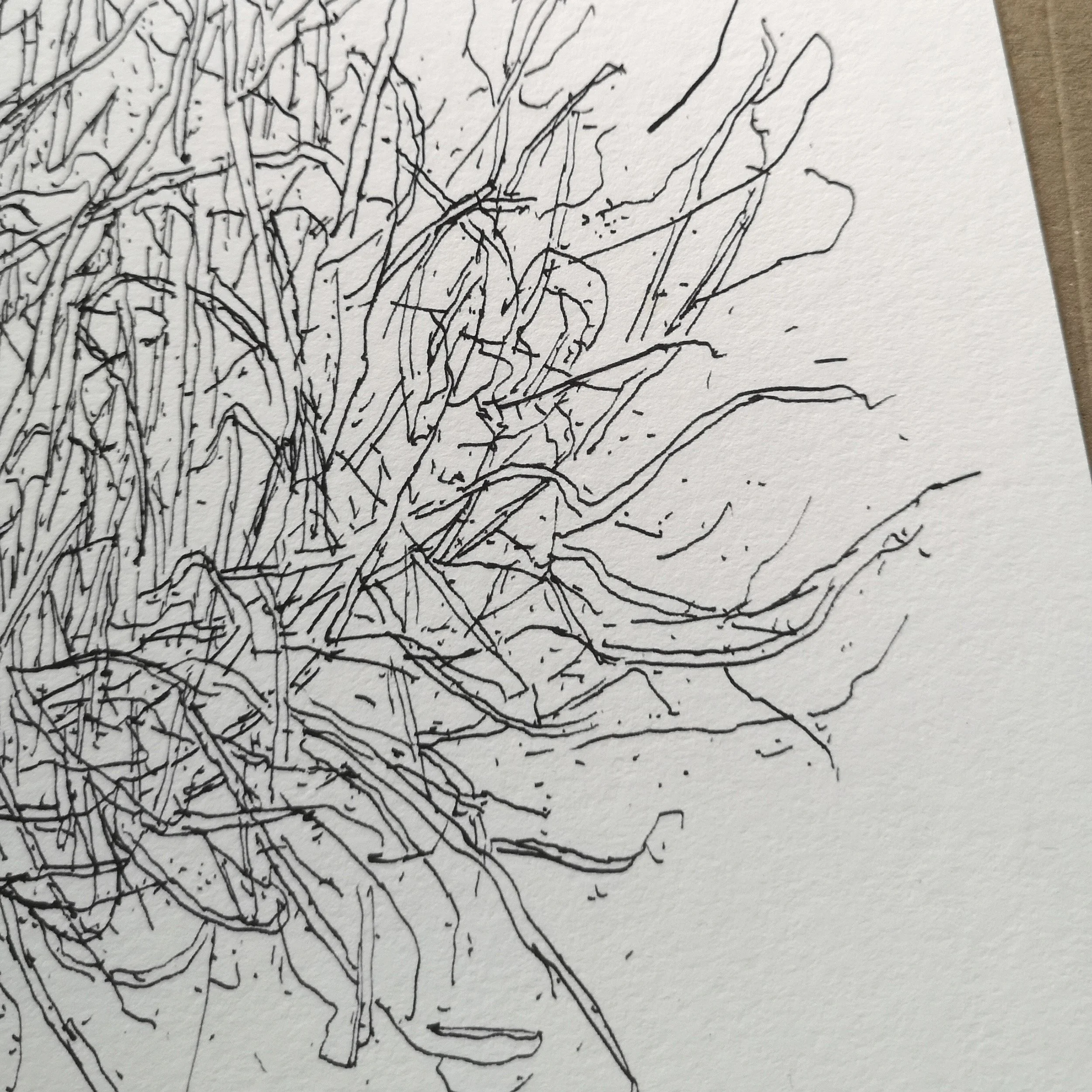 grass detail web.jpg