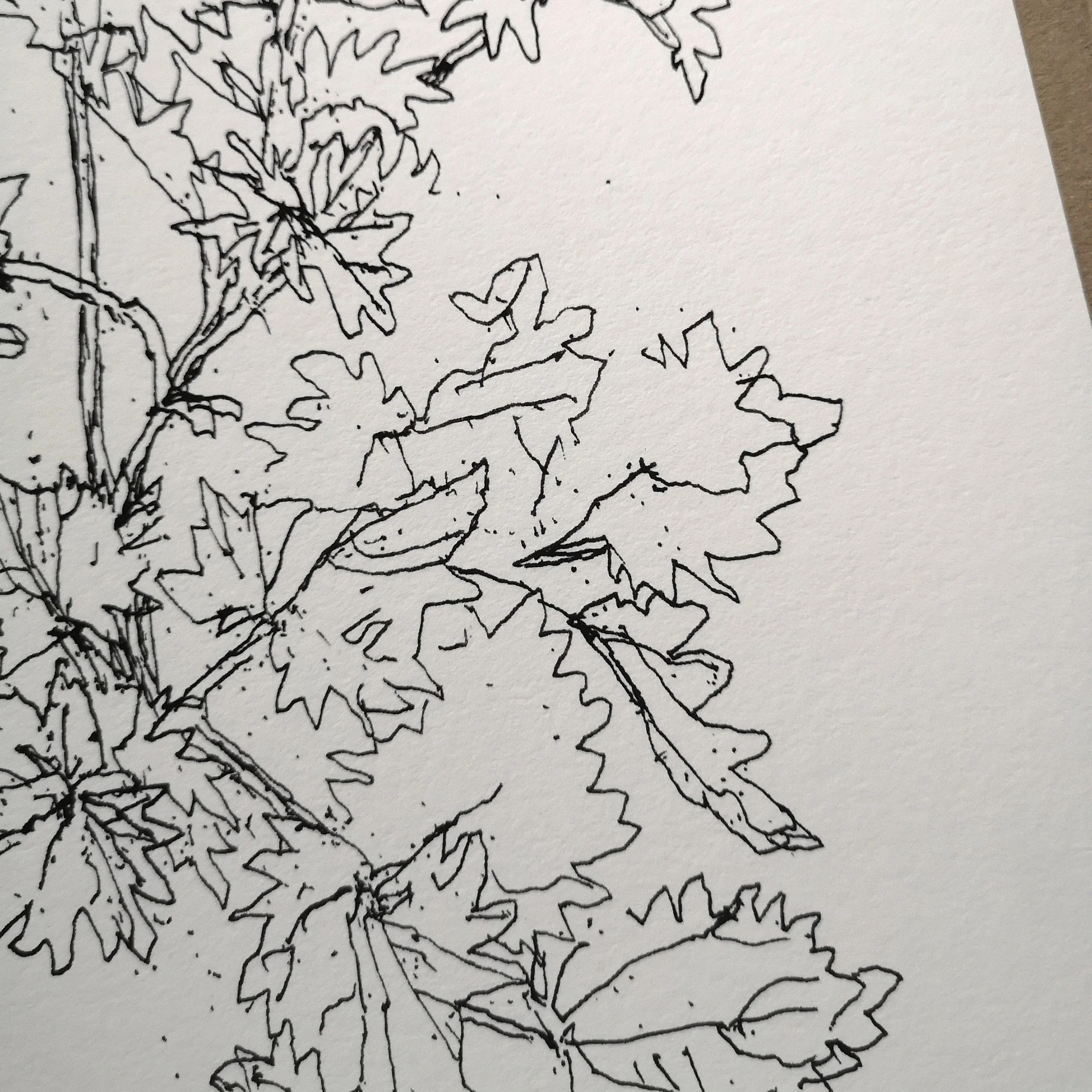 nettle detail web.jpg