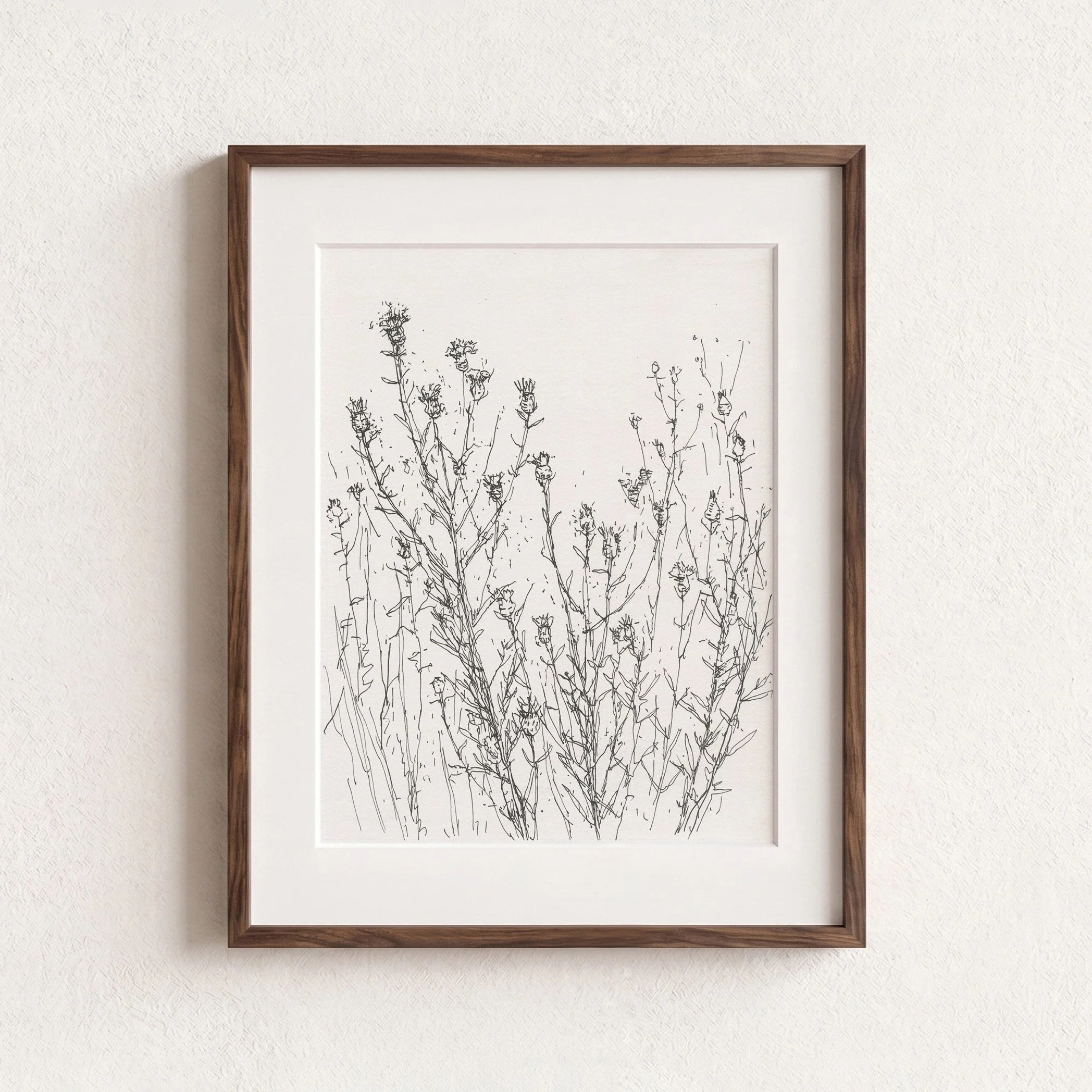 2Knapweed web F.jpg