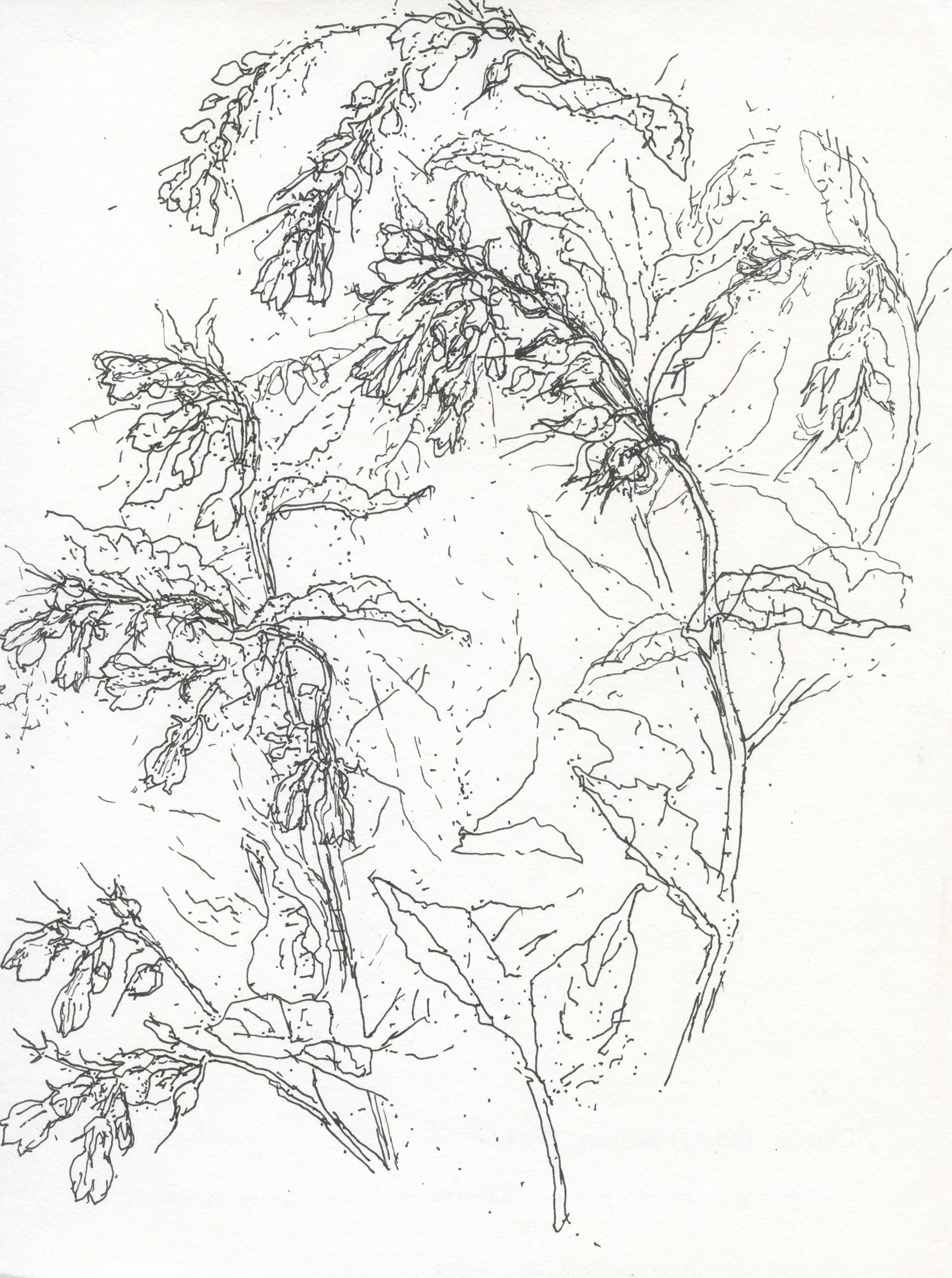2Comfrey River Bend_web.jpg