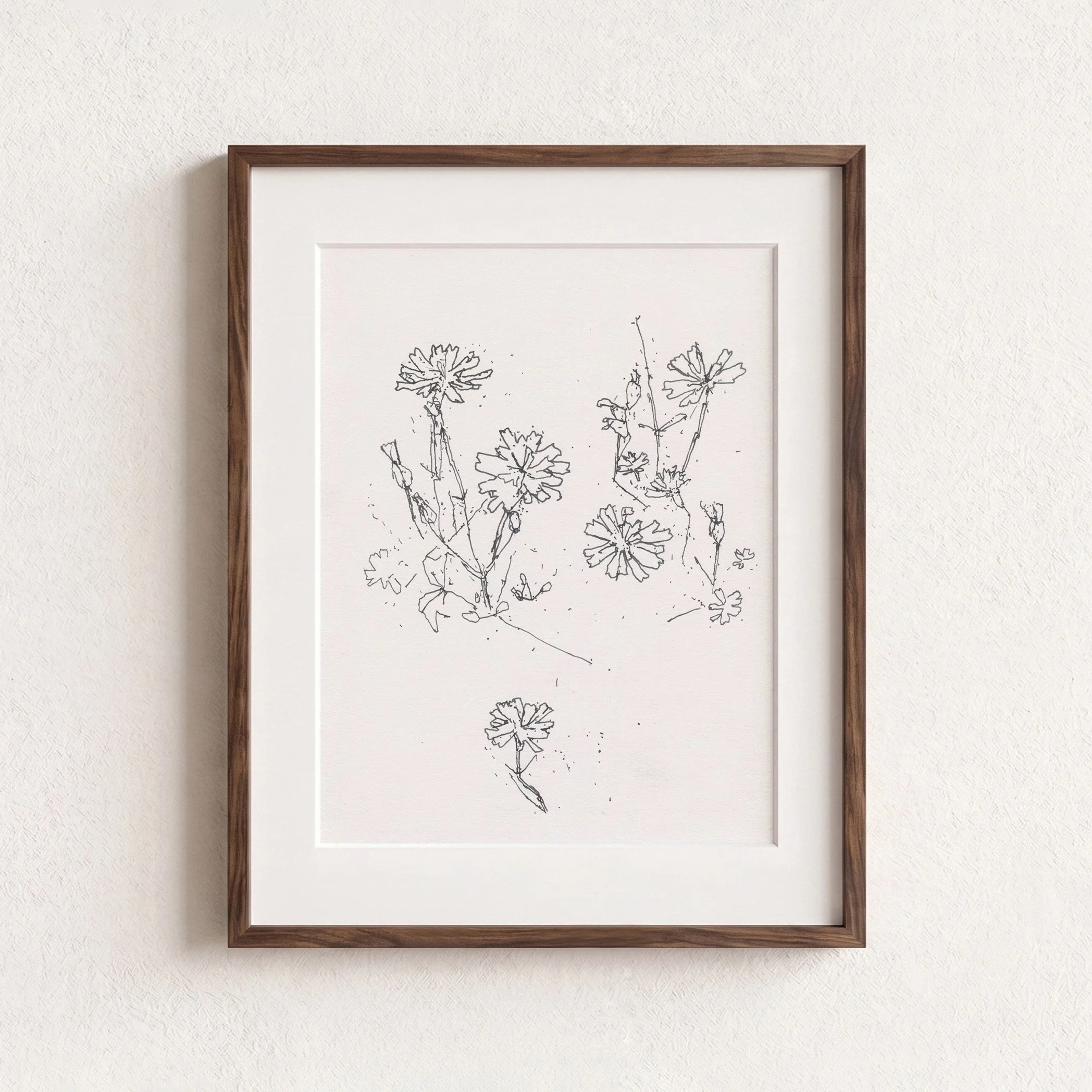 4Nipplewort web F.jpg