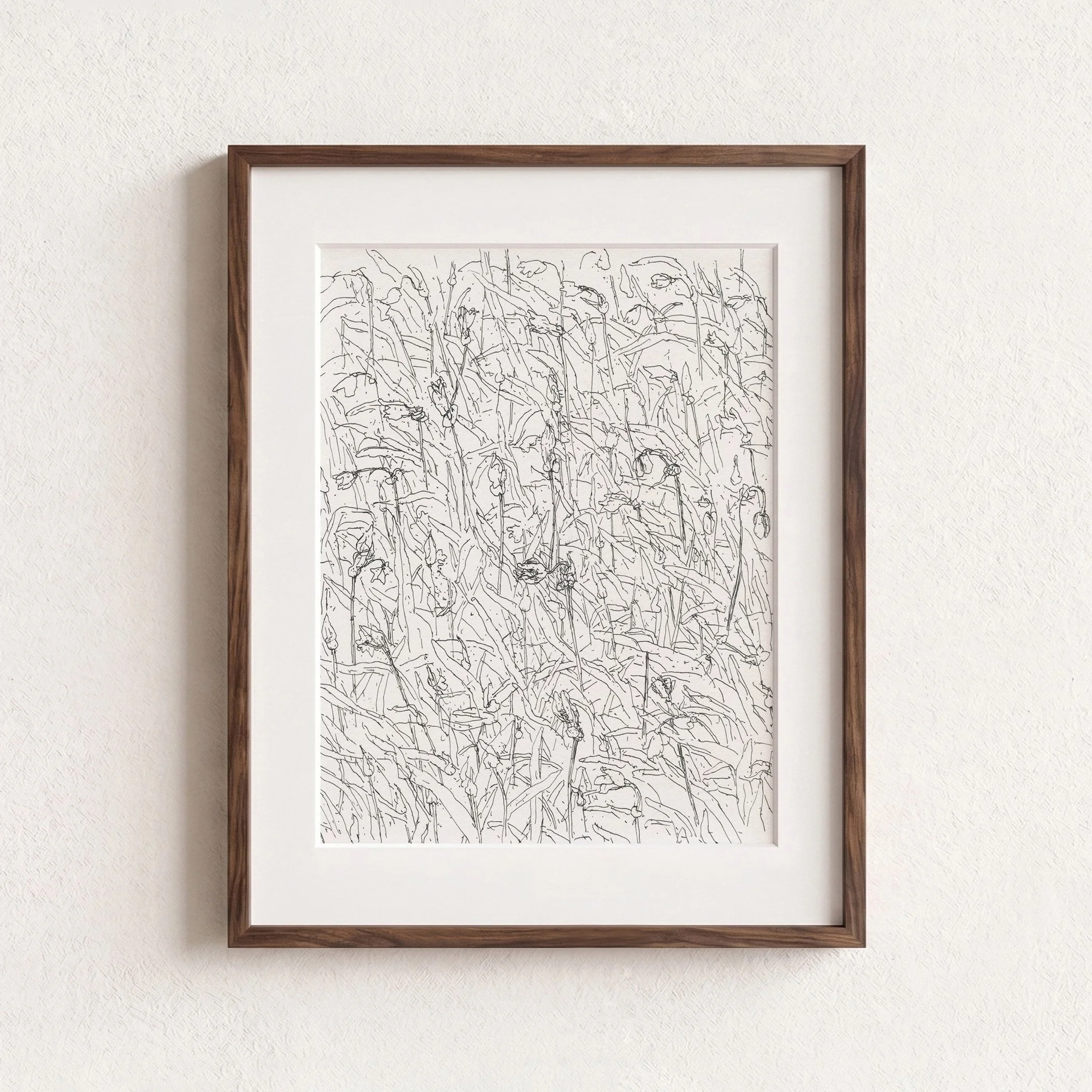 2Three cornered Leek web F.jpg