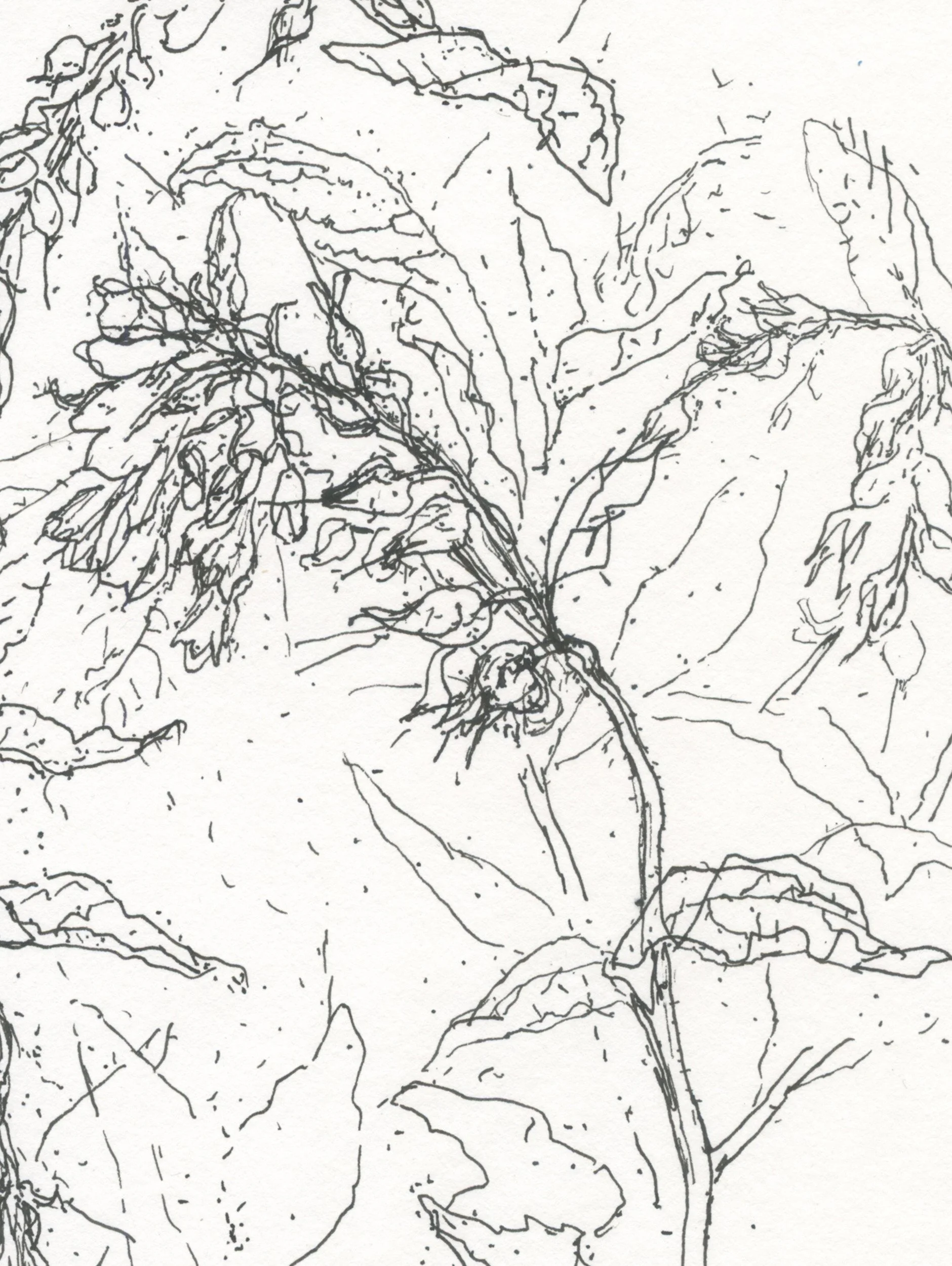 2Comfrey River Bend_web D.jpg