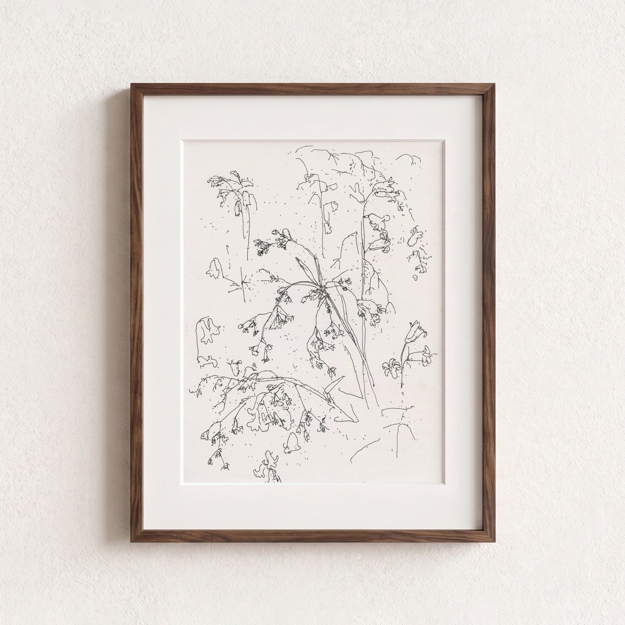 2Woodrush & Bluebells web F.jpg
