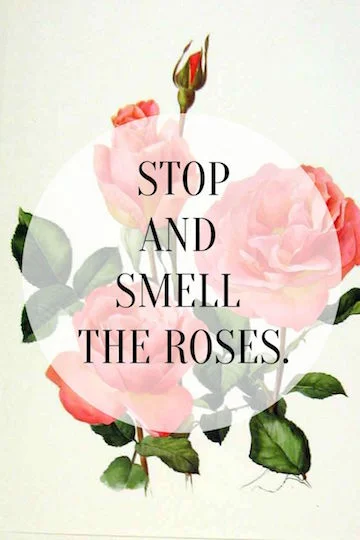 roses.jpg