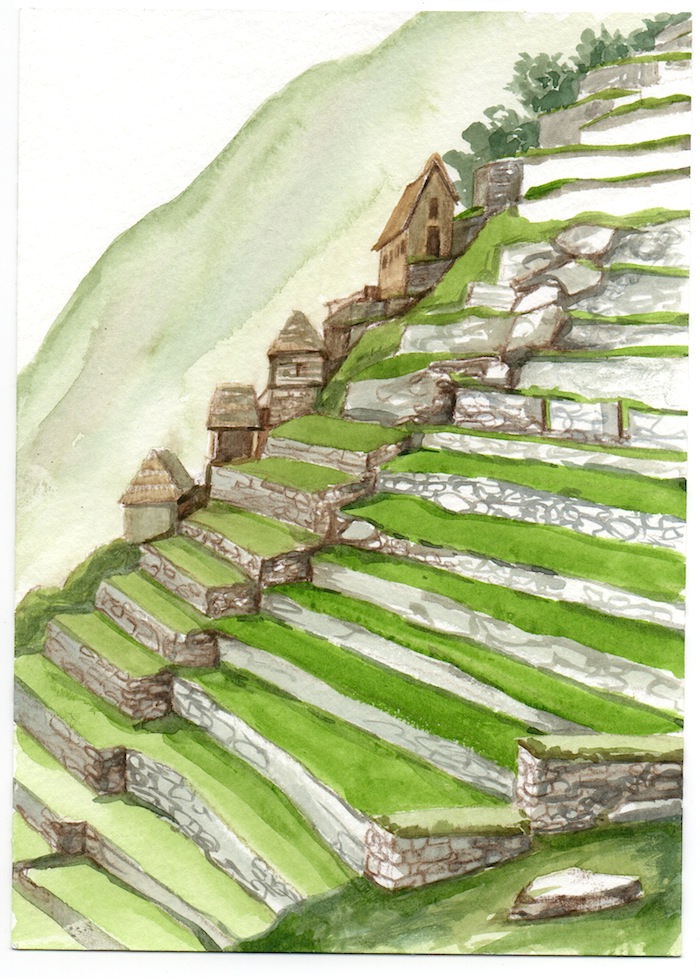 M_Picchu_watercolor copy.jpeg