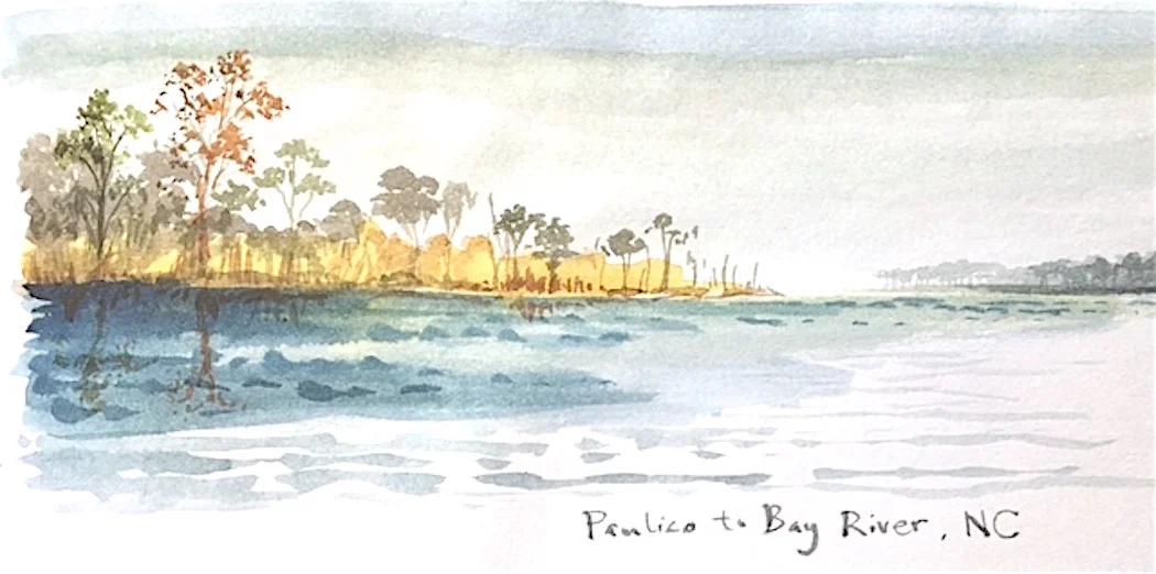 Pamlico View.jpg