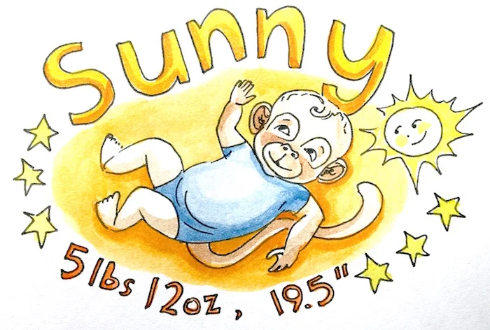 Sunny Monkey copy.jpg