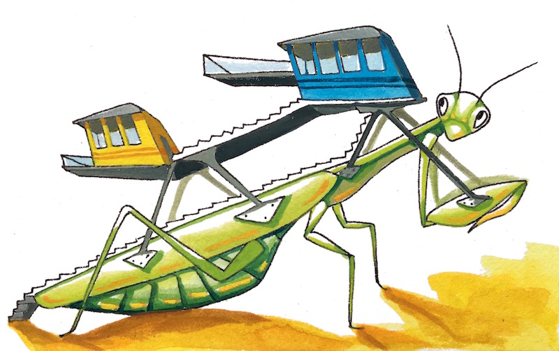 Mantis House copy.jpg