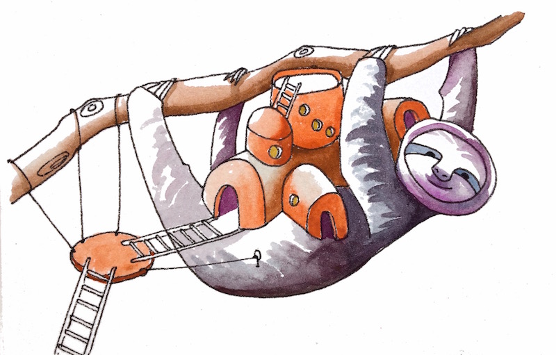 Sloth House copy.jpg