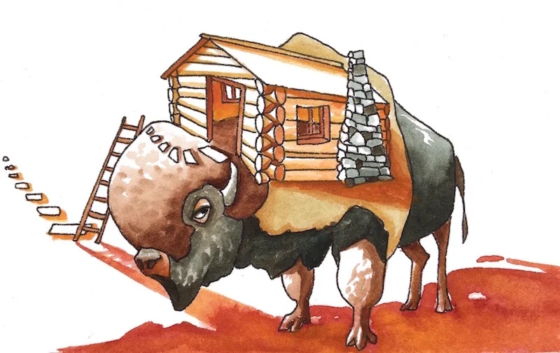 Bison House copy.jpg