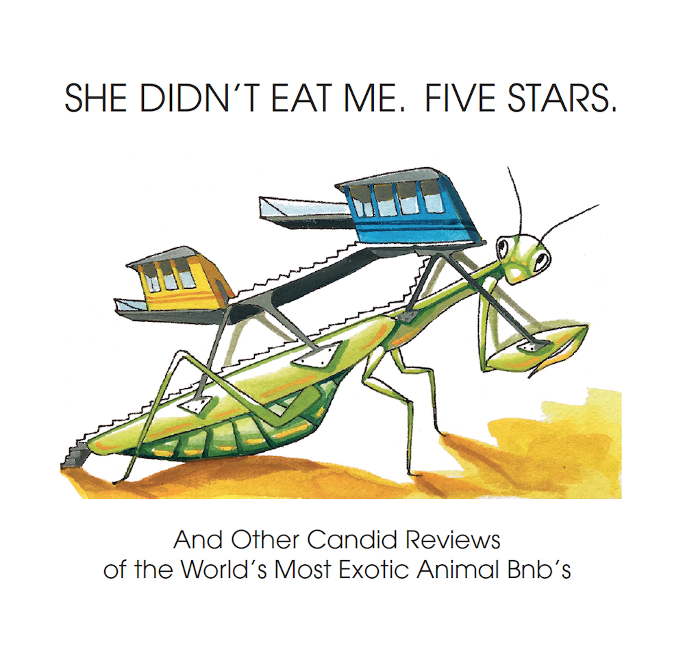 Animal Bnb Cover File copy.png