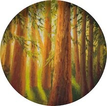 Redwoods for web.jpg